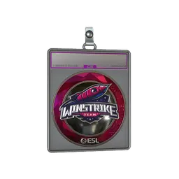 Sticker Slab | Winstrike Team (Foil) | Katowice 2019