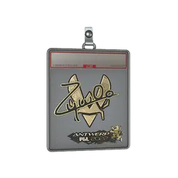 Sticker Slab | ZywOo (Gold) | Antwerp 2022