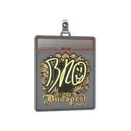 Sticker Slab | br0 (Gold) | Budapest 2025