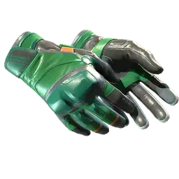★ Moto Gloves | Turtle