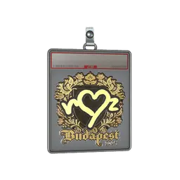 Sticker Slab | ropz (Gold) | Budapest 2025