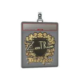 Sticker Slab | ztr (Gold) | Budapest 2025