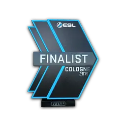 Finalist at ESL One Cologne 2015