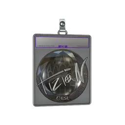 Sticker Slab | tiziaN (Foil) | Katowice 2019