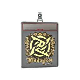 Sticker Slab | Ninjas in Pyjamas (Gold) | Budapest 2025