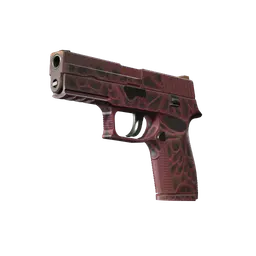 P250 | Contaminant