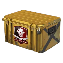 Falchion Case