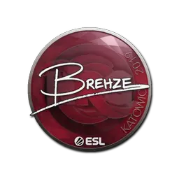 Sticker | Brehze | Katowice 2019