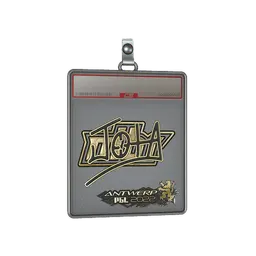Sticker Slab | JOTA (Gold) | Antwerp 2022