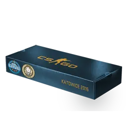 ESL One Katowice 2015 Dust II Souvenir Package