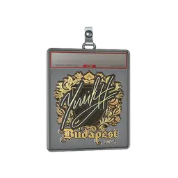 Sticker Slab | yuurih (Gold) | Budapest 2025