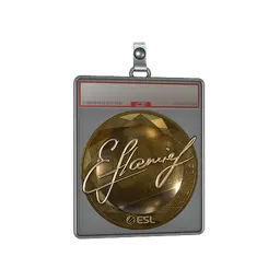 Sticker Slab | flamie (Gold) | Katowice 2019