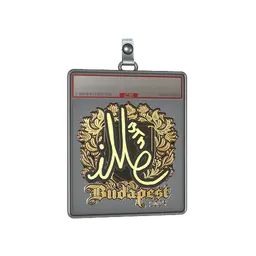 Sticker Slab | iM (Gold) | Budapest 2025