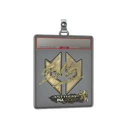 Sticker Slab | boltz (Gold) | Antwerp 2022