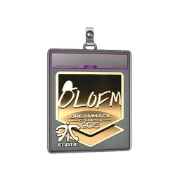 Sticker Slab | olofmeister (Gold) | Cluj-Napoca 2015