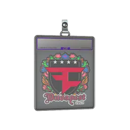 Sticker Slab | FaZe Clan (Embroidered) | Budapest 2025