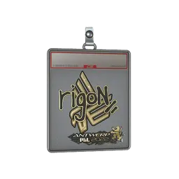 Sticker Slab | rigoN (Gold) | Antwerp 2022