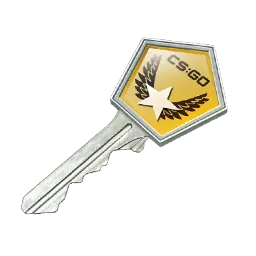 Winter Offensive Case Key