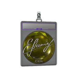 Sticker Slab | flamie (Foil) | Katowice 2019
