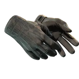 ★ Sport Gloves | Nocts