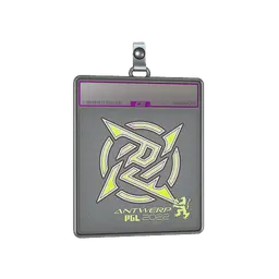 Sticker Slab | Ninjas in Pyjamas (Holo) | Antwerp 2022