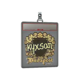 Sticker Slab | kyxsan (Gold) | Budapest 2025