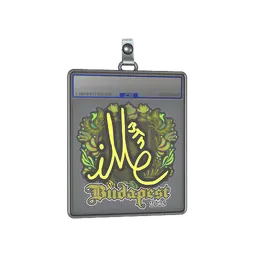 Sticker Slab | iM | Budapest 2025