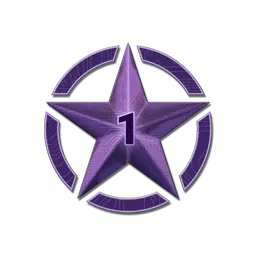 1 Star for Operation Shattered Web