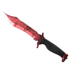 ★ Bowie Knife | Slaughter