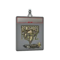 Sticker Slab | hatz (Gold) | Antwerp 2022