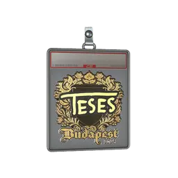 Sticker Slab | TeSeS (Gold) | Budapest 2025