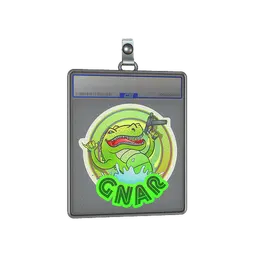 Sticker Slab | Green Gnar