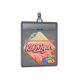 Sticker Slab | karrigan | Rio 2022