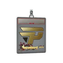 Sticker Slab | paiN Gaming (Gold) | Shanghai 2024