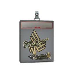 Sticker Slab | sinnopsyy (Gold) | Antwerp 2022