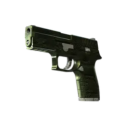 P250 | Iron Clad
