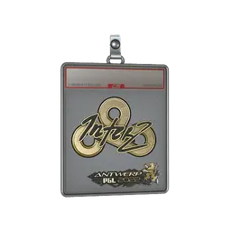 Sticker Slab | interz (Gold) | Antwerp 2022