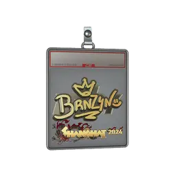Sticker Slab | brnz4n (Gold) | Shanghai 2024