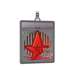Sticker Slab | Astralis (Foil) | 2020 RMR