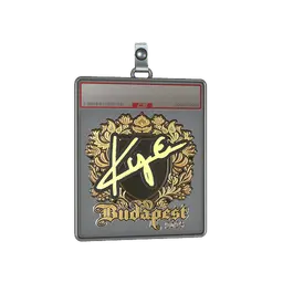Sticker Slab | kye (Gold) | Budapest 2025