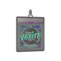 Sticker Slab | vexite (Holo) | Austin 2025