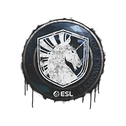 Sealed Graffiti | Team Liquid | Katowice 2019