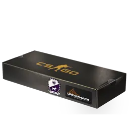DreamHack 2014 Cobblestone Souvenir Package