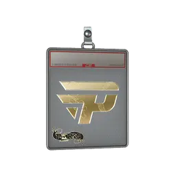 Sticker Slab | paiN Gaming (Gold) | Paris 2023
