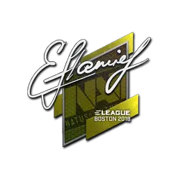 Sticker | flamie | Boston 2018