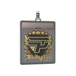 Sticker Slab | paiN Gaming (Gold) | Budapest 2025
