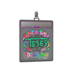 Sticker Slab | TeSeS (Holo) | Budapest 2025