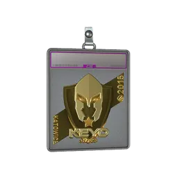 Sticker Slab | Keyd Stars (Gold) | Katowice 2015