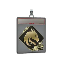 Sticker Slab | Team Spirit (Gold) | Rio 2022
