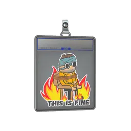 Sticker Slab | This Is Fine (H)